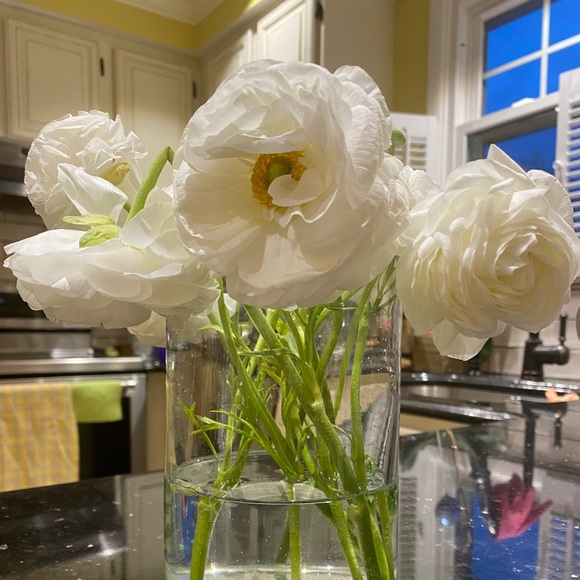 Meet your Posher, Soo - Picture 1 of 1